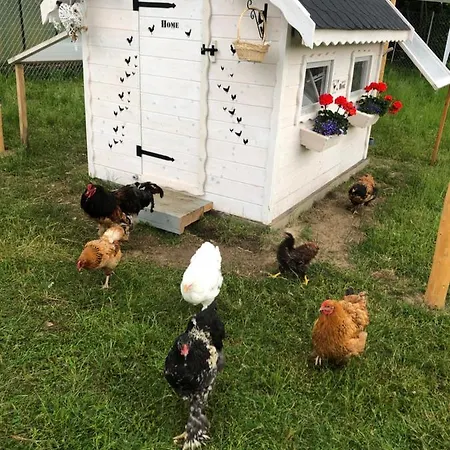 Dom Mazura Bauernhof Połczyn-Zdrój