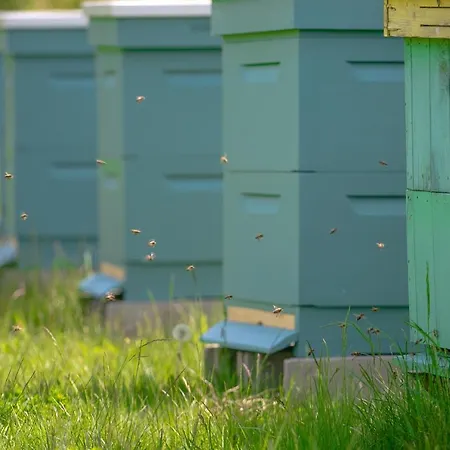 Bauernhof Dom Mazura *