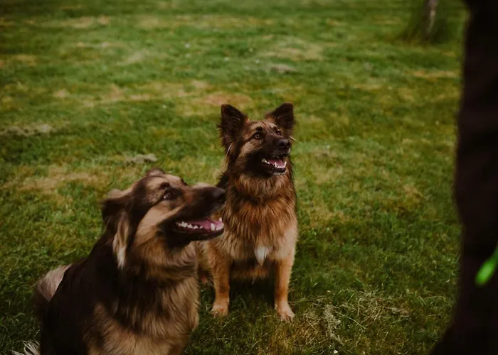 农家乐 Dom Mazura