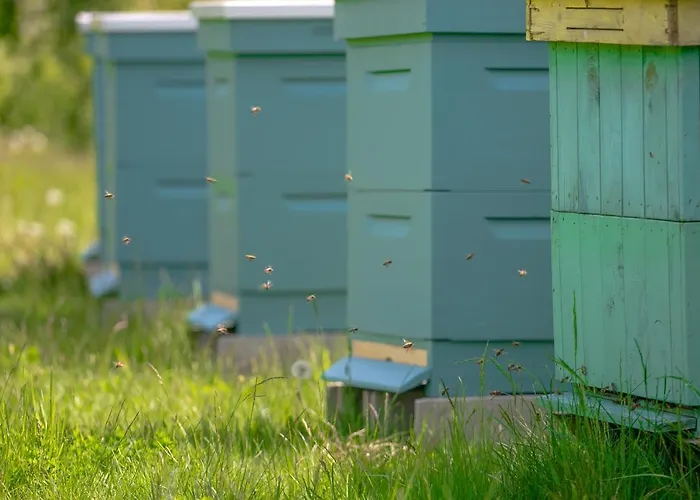 农家乐 Dom Mazura *