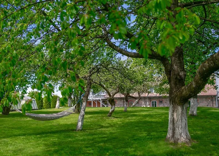 Dom Mazura 农家乐 *